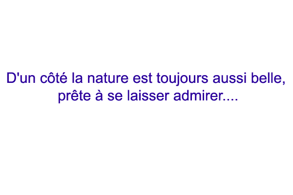 voeux2011.1293993890.gif